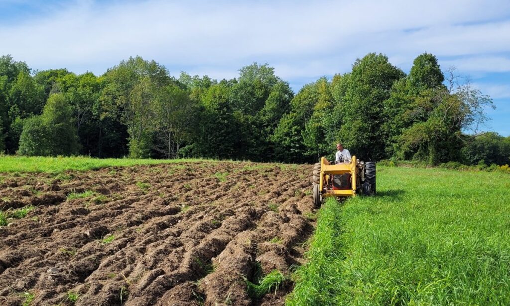 Read more about the article Syracuse nonprofit RISE acquires 180-acre farmland in Oswego County, dreams of possibilities